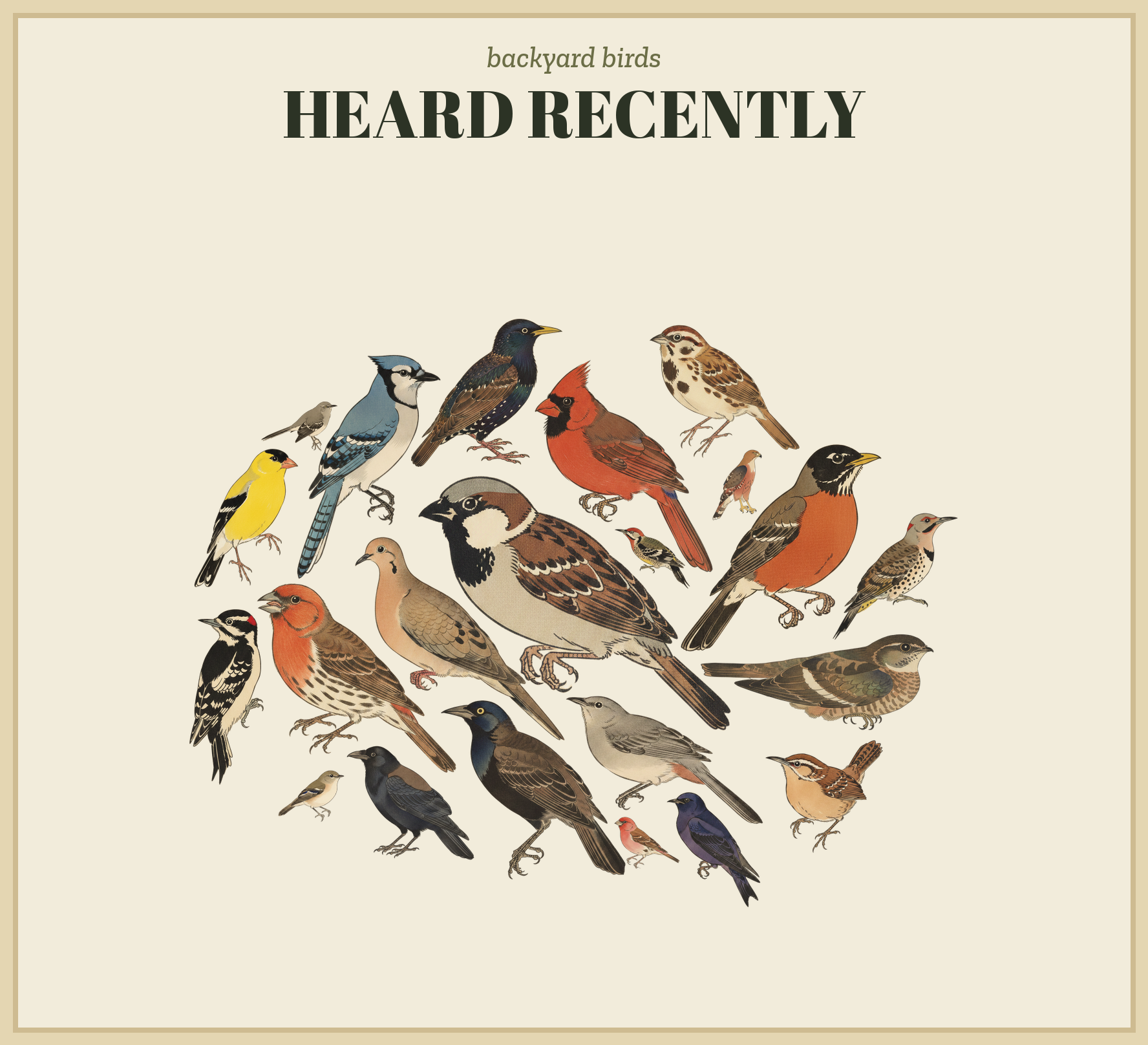 backyard birds collage